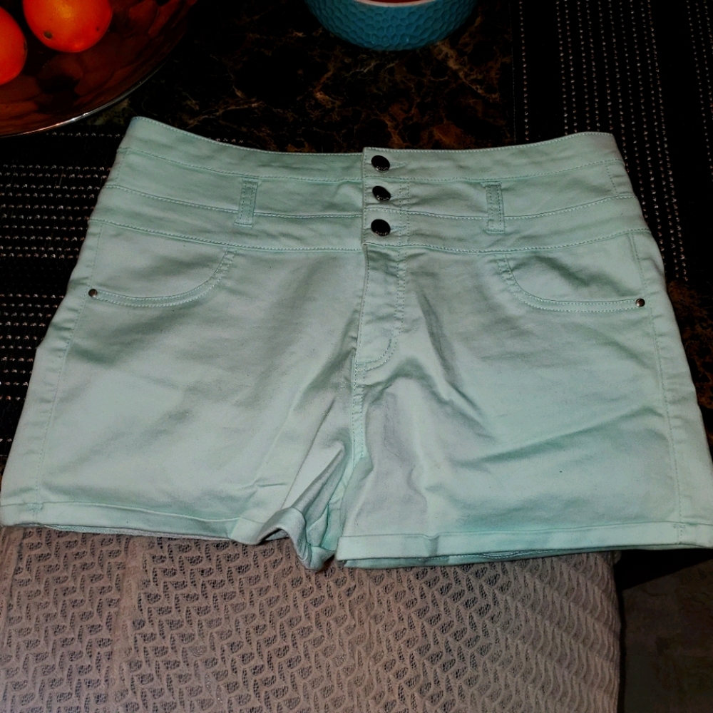 Refuge mint shorts